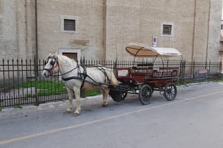 strolling in a carriage in the Assisane countryside