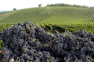 Valtellina Food Tour : Lake Como and Mountains discover - Private tour