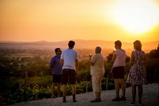 Winery tour with wine tasting from Assisi