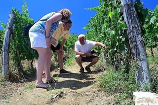 Chianti Classico and Super Tuscan 3 Winery Tour