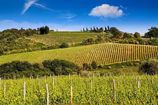 Private Classic Wine Tour in Chianti from Florence