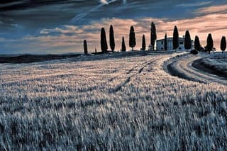 Day trip from Rome: Deluxe wine tasting in Montalcino - private tour