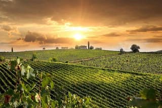 Montepulciano and Pienza Tuscany Wine&Cheese Fullday from Rome