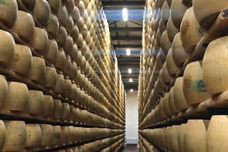Food and wine tour from Bologna