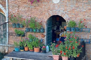 Another Side of the City: Discovering Authentic Venice