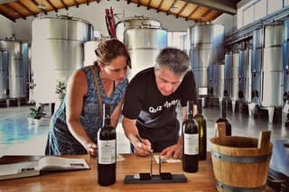 Wine Tasting and Blending Workshop in Trapani