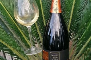 Tour Ercolano Excavations, Lunch and Wine Tasting from Sorrento