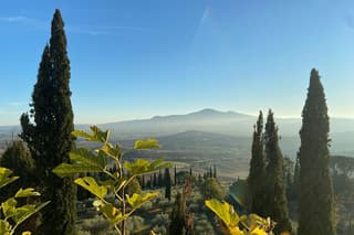 Full-day Val d'Orcia Tour with Wine and Cheese Tastings