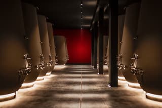 Valpolicella Wine Tasting Experience & Light Lunch