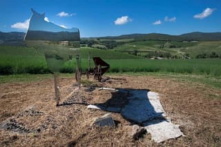 Montalcino, trekking in the vineyard, Enomusicale tasting and Cacio di Pienza!