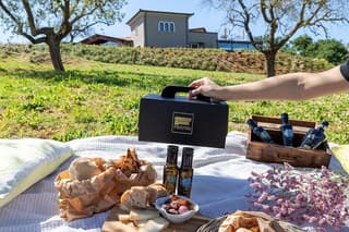 Private Picnic at the Frantoio between Nature and Good Food