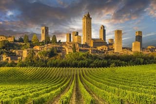 Tuscany Countryside Full-Day Tour from Florence with Wine Tasting