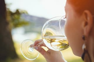 Walk in the Vineyard with Tasting