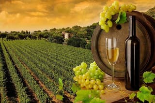 Wine Cheese and EVO Oil Tastings in Tuscany Full-Day from Rome