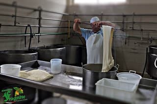 Mozzarella Experience - Cheese Tasting Tour at Masseria Fragnite