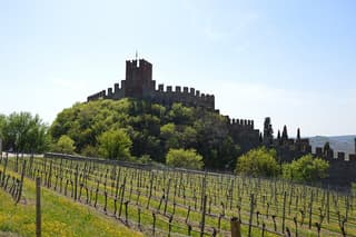 Pagus Wine Tours® - Soave and Amarone - Half day wine tour