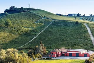 Monferrato (Asti province): Barbera Wine Tasting Experience