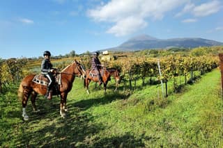 Horseback Riding on Vesuvius