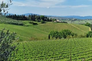 PRIVATE WINE TOUR TUSCANY Chianti Wineries, Expert English driver