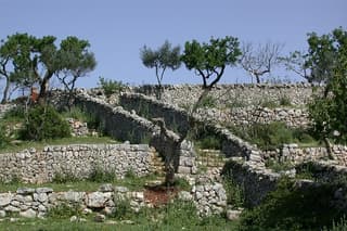 Alberobello: The secret origins of the trulli, private tour 2 hours