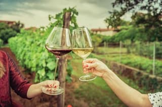 Tasting of Vernaccia, Chianti and Extra Virgin Olive Oil