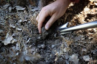 Truffle hunting with Professional photographer