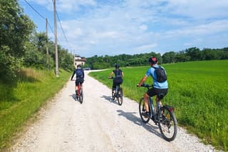E-Bike tour and Wine tasting from Desenzano Inland