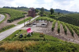 Private tasting of Monferrato wines with visit to the cellar