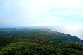 Stintino Trekking Private Tour to Capo Falcone