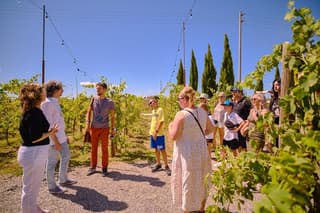 Siena, San Gimignano and Chianti Wines Day Tour from Florence