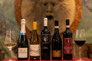 Private tasting of national wines with artichoke in Rome