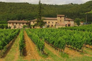 Chianti Day trip from Florence