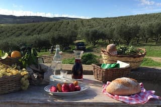 Oil and food tasting in the province of Agrigento