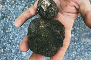 Truffle Quest & Discover Pisa - Excursion from Livorno