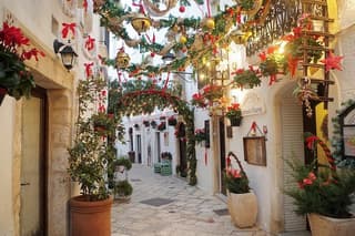 Alberobello Martina Franca and Locorotondo Private Tour from Bari