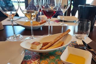 Wine tasting on the southern slope of Etna