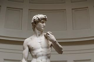 Michelangelo's David Accademia gallery guided tour