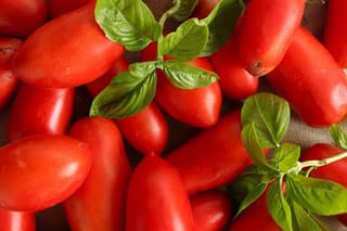 Tuscan World Famous Cuisine Activity with a Local Food Expert