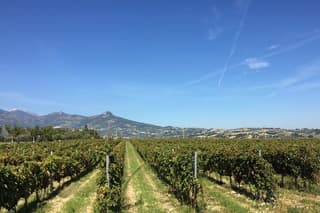 Visit and tasting 30 minutes from Pescara Entry