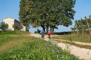 6 - Hours Private Tour Prosecco by Car Guided Bicycle