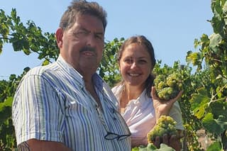 Private Naples Food and Wine Harvest Tour