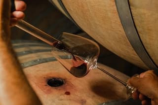 Backstage Brunello & Gourmet Wine-Food Tasting in Montalcino