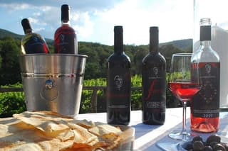 Visit a Winery with Wine Tasting in Mamoiada