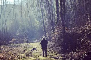 Truffle Hunting plus optional Pisa or Certaldo from Livorno port