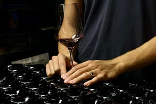 Boutique Winery Tour with Wine Tasting & Food in Bologna