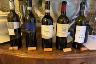 Wine tasting of the great wines of Tuscany with sommelier