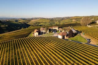 Langhe Wine Tasting and Traditional Lunch