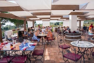 Pompeii Private Tour + Wine Tasting in the Vesuvius Vineyard