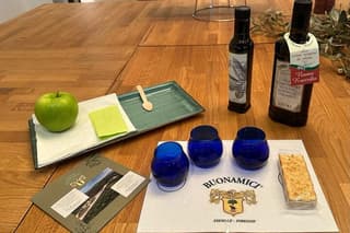 Olio evo bronze experience at Frantoio Buonamici in Fiesole