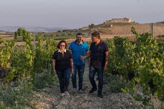 Wine and EVO oil tasting in the countryside of Agrigento